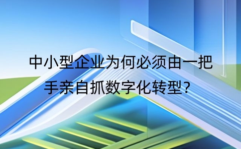 为什么中小型企业数字化转型必须一把手亲自抓