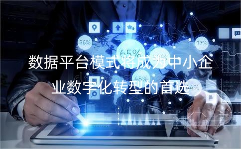 数据平台模式将成为中小企业数字化转型的首