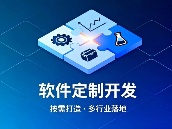 低代码定制开发