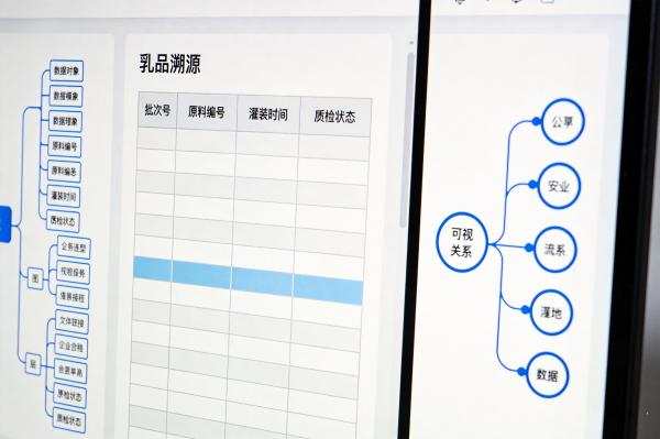 低代码定制开发助力某乳企3天通关飞行检查